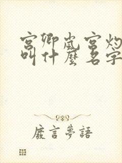 宫卿岚宫灼小说叫什么名字