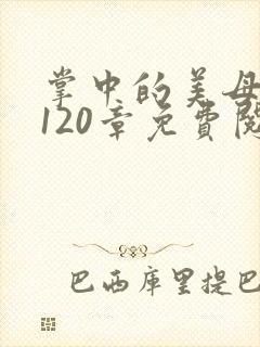 掌中的美母版主120章免费阅读