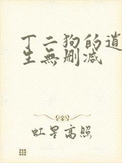 丁二狗的逍遥人生无删减