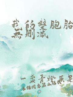 我的双胞胎老婆无删减