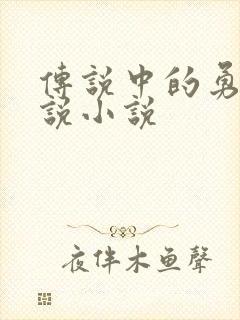 传说中的勇者传说小说