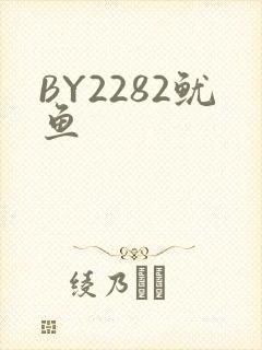 BY2282鱿鱼