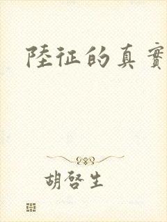 陆征的真实身份