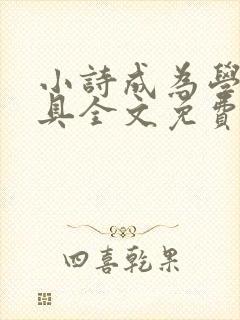 小诗成为学校教具全文免费阅读无弹窗