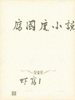 腐国度小说