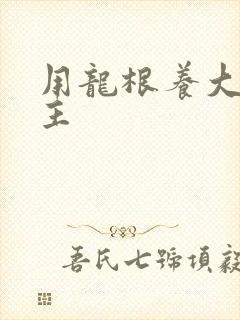 用龙根养大的公主