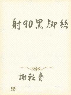 射90黑脚丝女