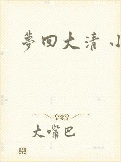 梦回大清 小说