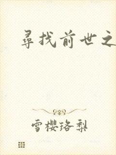寻找前世之旅续