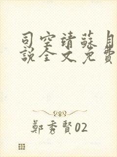 司空靖苏月汐小说全文免费阅读