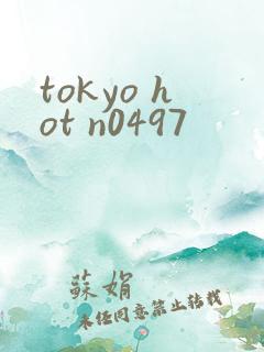 tokyo hot n0497