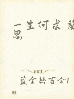 一生何求 兰思思