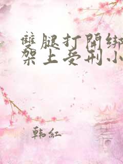 双腿打开绑在刑架上受刑小说