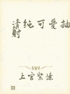 清纯可爱抽插内射