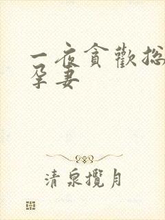 一夜贪欢总裁幸孕妻