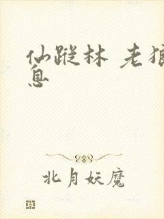 仙踪林 老狼信息