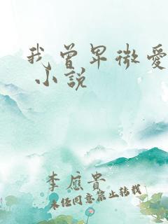我曾卑微爱过你 小说