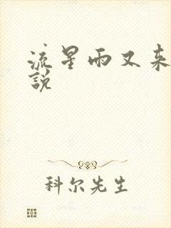 流星雨又来临小说