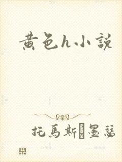 黄色h小说