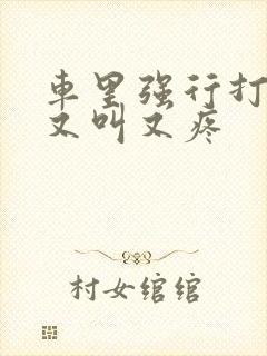 车里强行打扑克又叫又疼