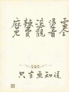 麻辣滚烫电视剧免费观看全集