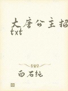 大唐公主招亲记txt