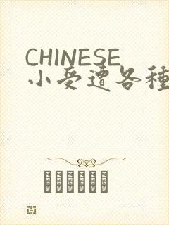 CHINESE小受遭各种打桩