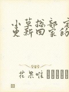 小草总部 定期更新回家的路