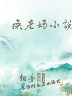 操老妈小说