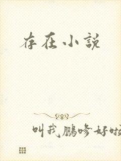 存在小说