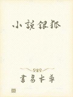 小说银狐