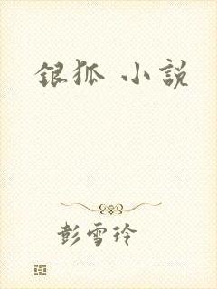 银狐 小说