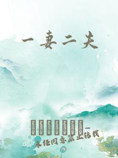 一妻二夫