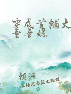 穿成首辅大人的童养媳