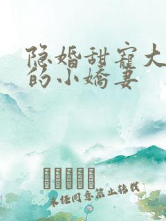 隐婚甜宠大财阀的小娇妻