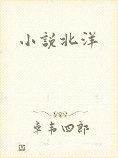 小说北洋