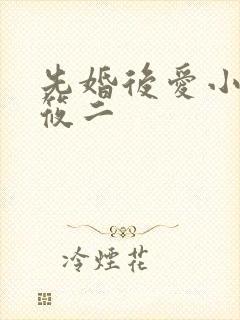 先婚后爱小说梦筱二