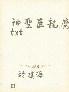 神圣巨龙魔法师txt