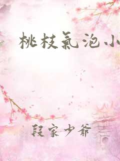 桃枝气泡小说
