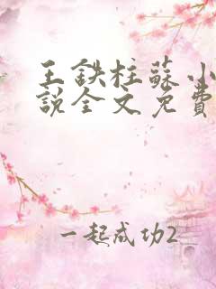 王铁柱苏小汐小说全文免费阅读最新章节