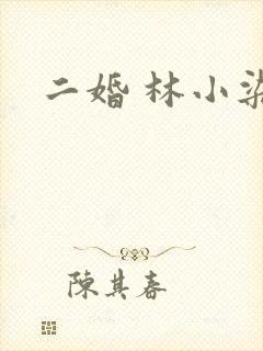 二婚 林小染