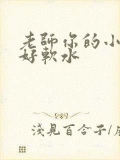 老师你的小兔子好软水
