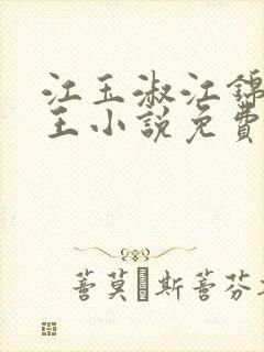 江玉淑江锦心睿王小说免费阅读