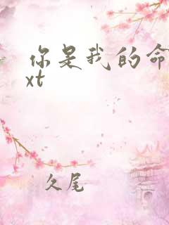 你是我的命运txt