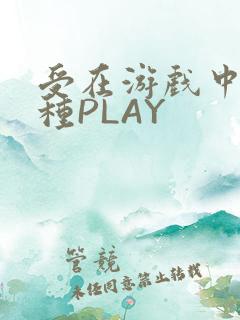 受在游戏中被各种PLAY