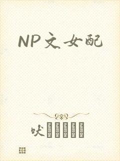 NP文女配