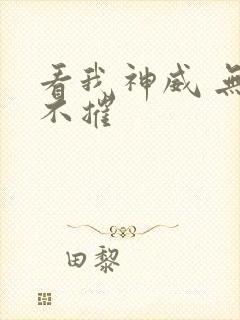 看我神威 无坚不摧