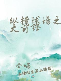 纵横球场之暴力大前锋