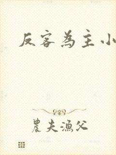 反客为主小说