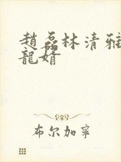 赵磊林清雅上门龙婿